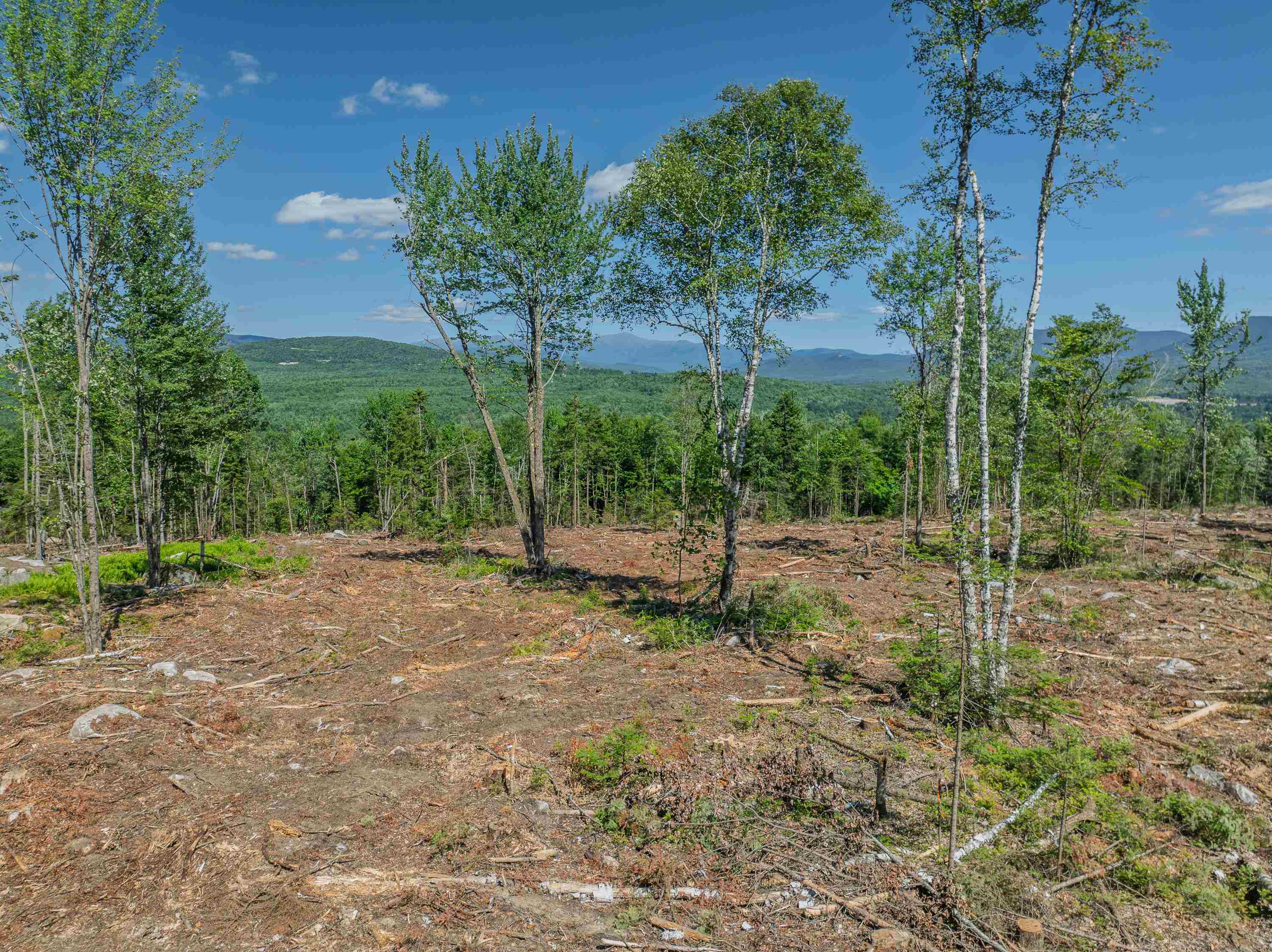 0 Ridge Road, Unit 28 Bethlehem, NH 03574 - Photo 8 of 57