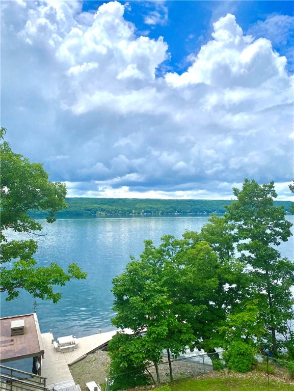 4079 Haase-Smith Road Hector, NY 14818 - Photo 2 of 49 Gallery Image 2