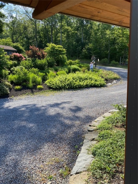 4079 Haase-Smith Road Hector, NY 14818 - Photo 36 of 49 Gallery Image 36