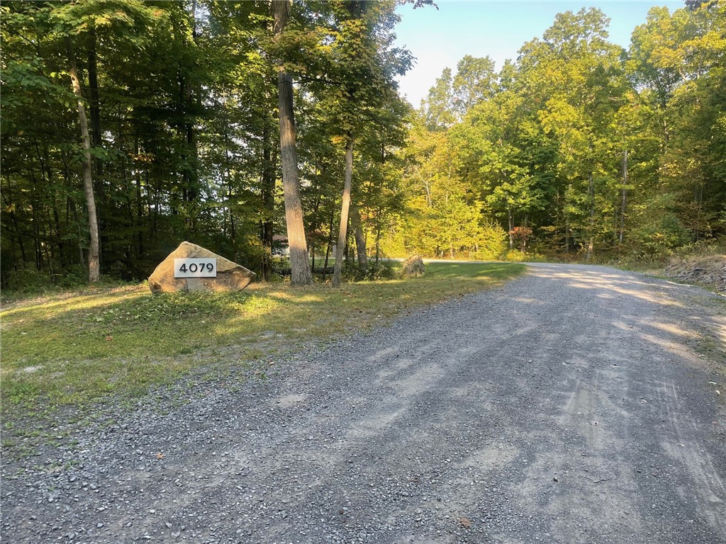 4079 Haase-Smith Road Hector, NY 14818 - Photo 4 of 49 Gallery Image 4