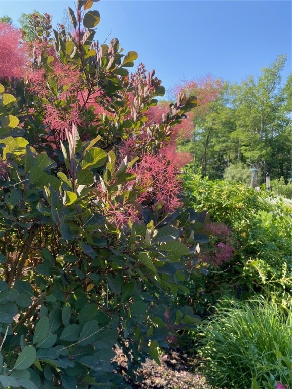 4079 Haase-Smith Road Hector, NY 14818 - Photo 47 of 49 Gallery Image 47