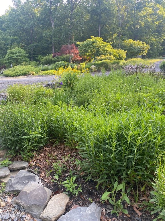 4079 Haase-Smith Road Hector, NY 14818 - Photo 48 of 49 Gallery Image 48