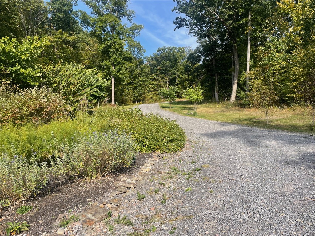 4079 Haase-Smith Road Hector, NY 14818 - Photo 49 of 49 Gallery Image 49