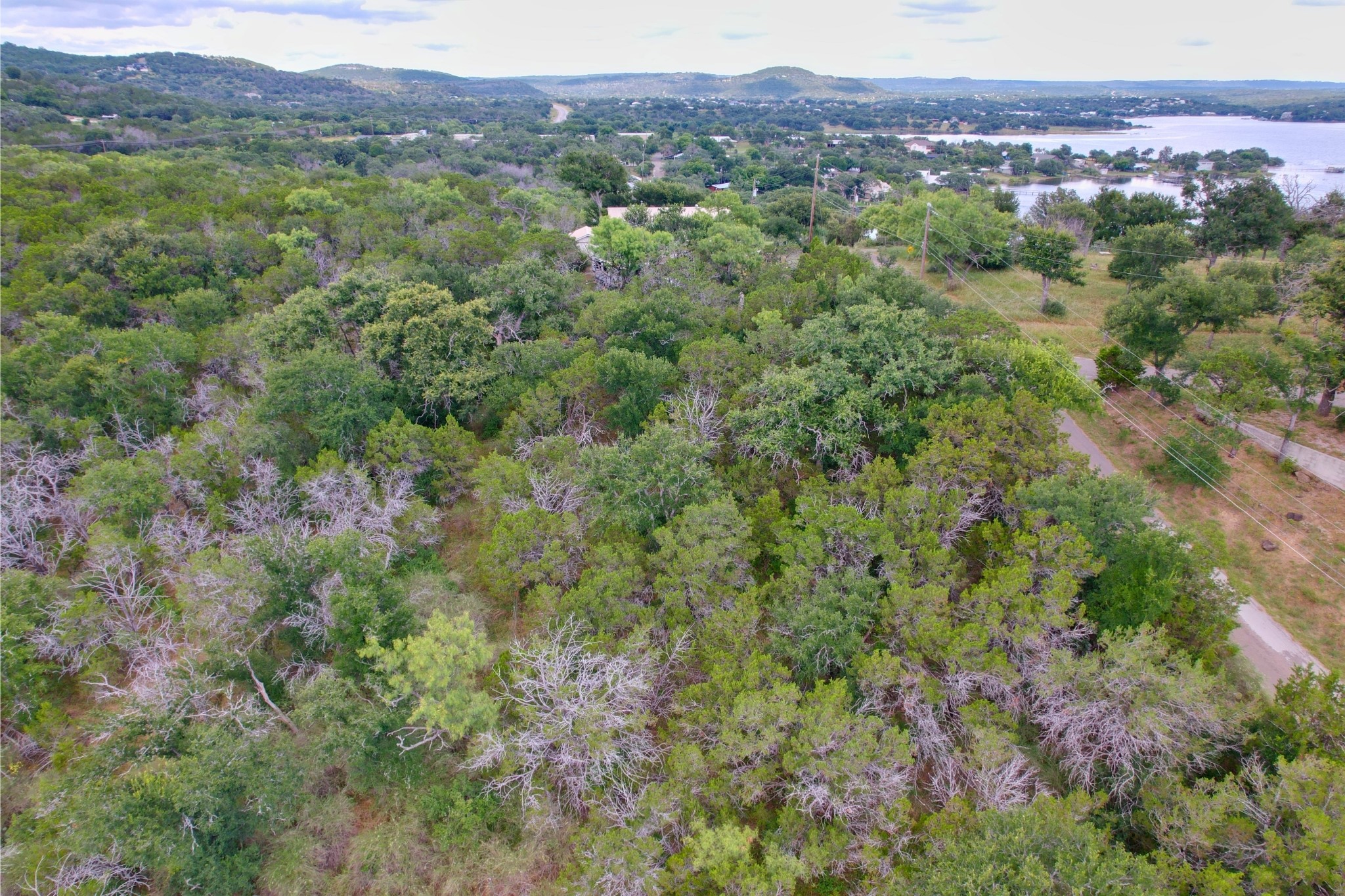 706 Cr138a Road Burnet, TX 78611 - Photo 14 of 18 Lush tree coverage and rolling hills create a private, expansive retreat.