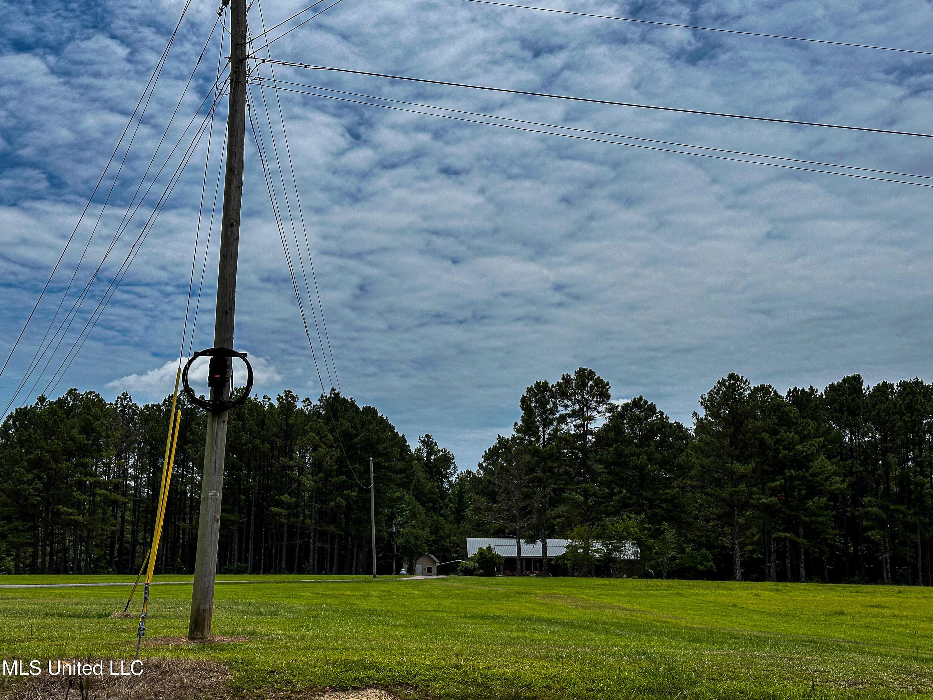 2 Grubb Springs Road Hamilton, MS 39746 - Photo 10 of 10 IMG_8894