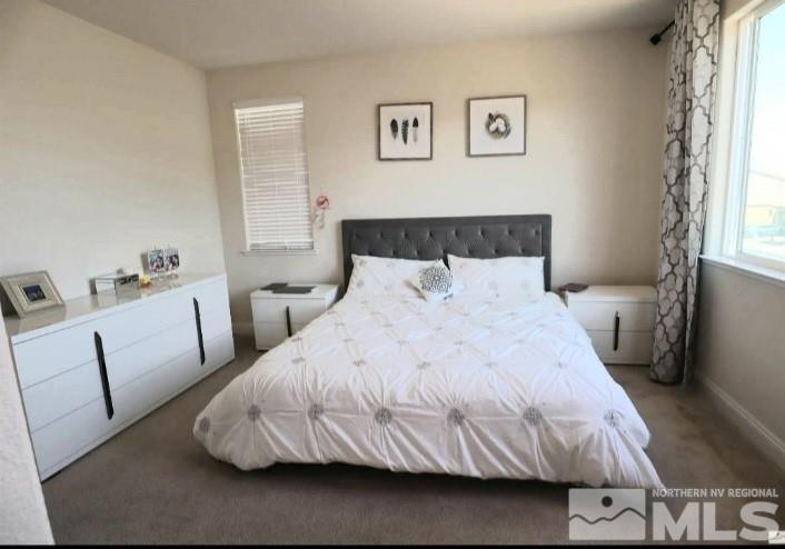 2001 Harmony Valley Way Reno, NV 89521 - Photo 11 of 27 Photo 11