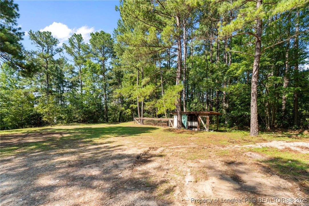 255 Sarason Place Vass, NC 28394 - Photo 50 of 50 a view of a park with large trees