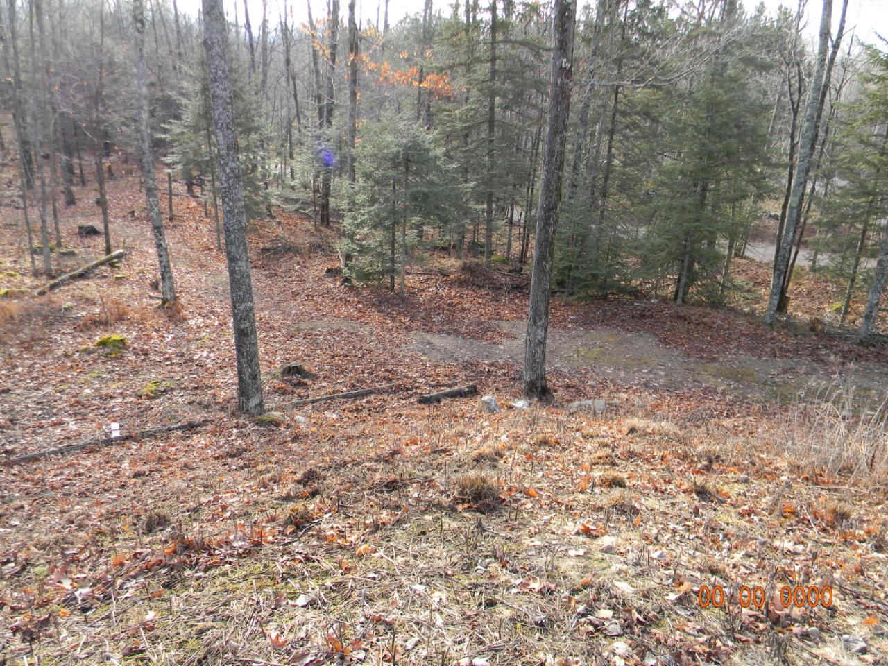 N7403 Begin Road Deerbrook, WI 54424 - Photo 39 of 66 Gallery Image 39