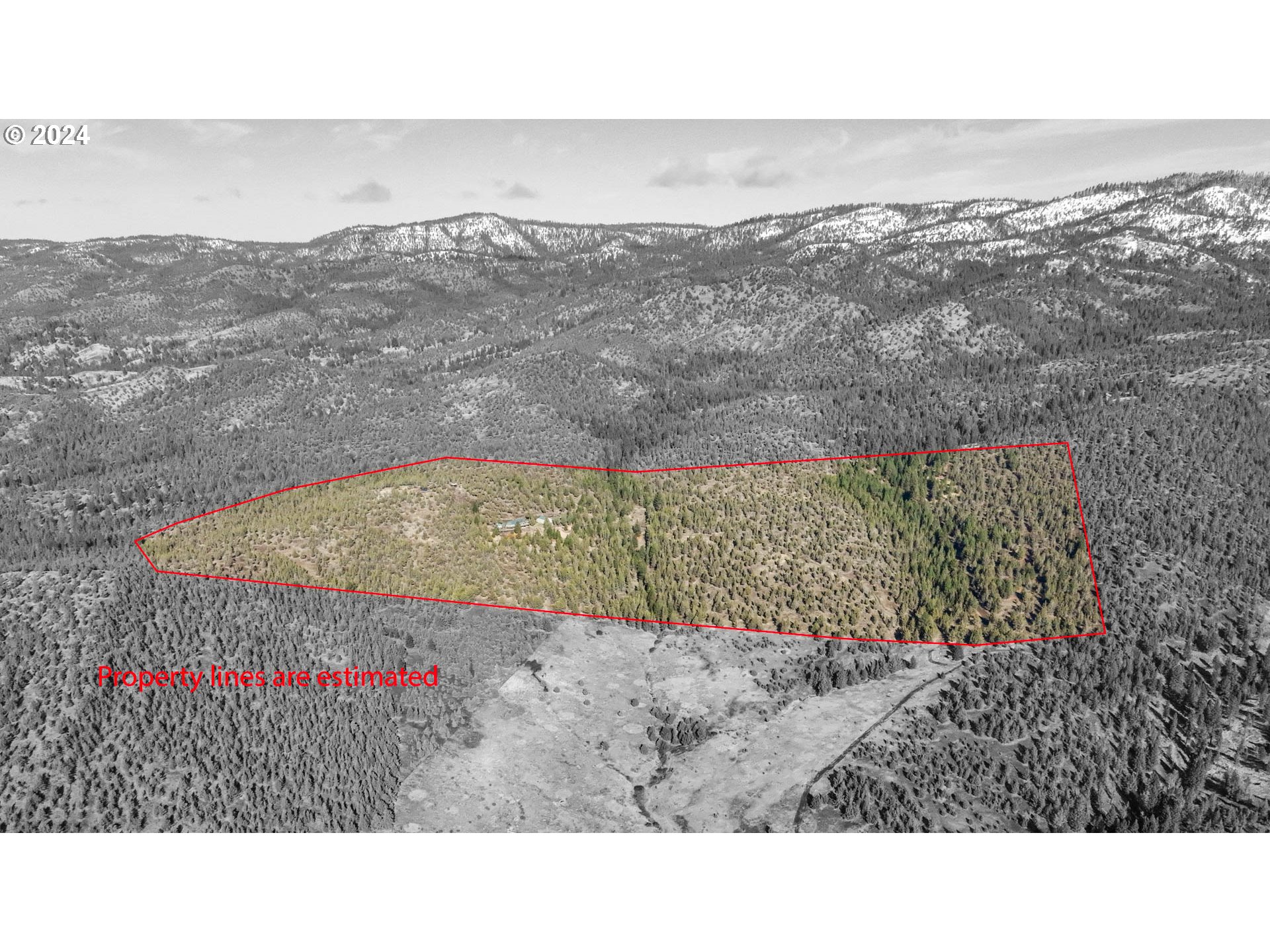 31367 Clarks Creek Road Mount Vernon, OR 97865 - Photo 2 of 48