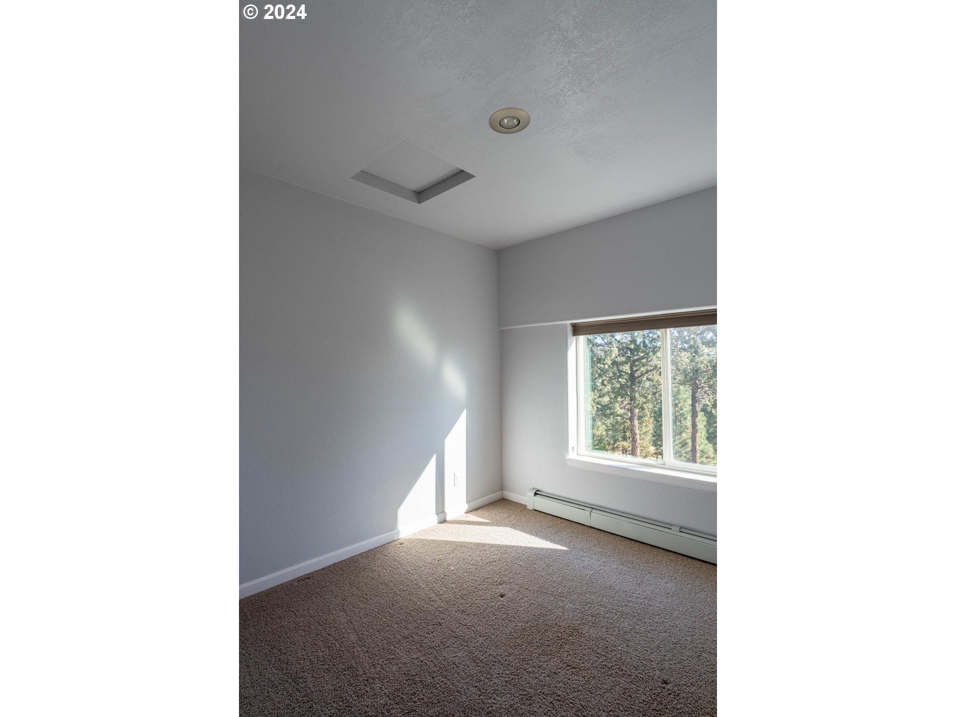 31367 Clarks Creek Road Mount Vernon, OR 97865 - Photo 27 of 48