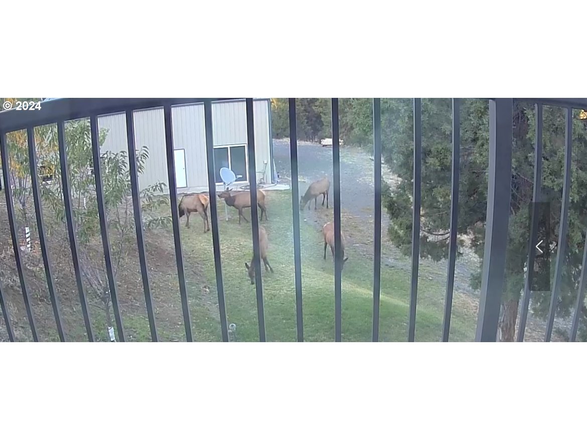 31367 Clarks Creek Road Mount Vernon, OR 97865 - Photo 30 of 48