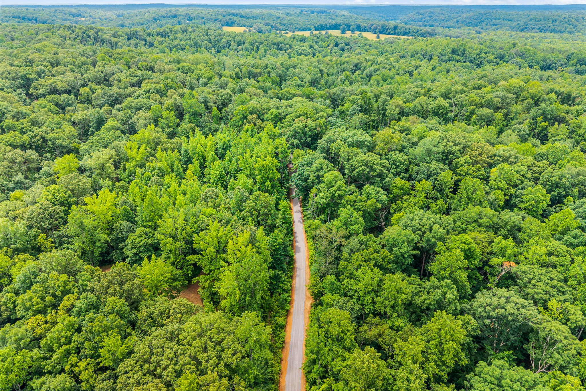 196 Wildlife Road Dover, TN 37058 - Photo 71 of 77