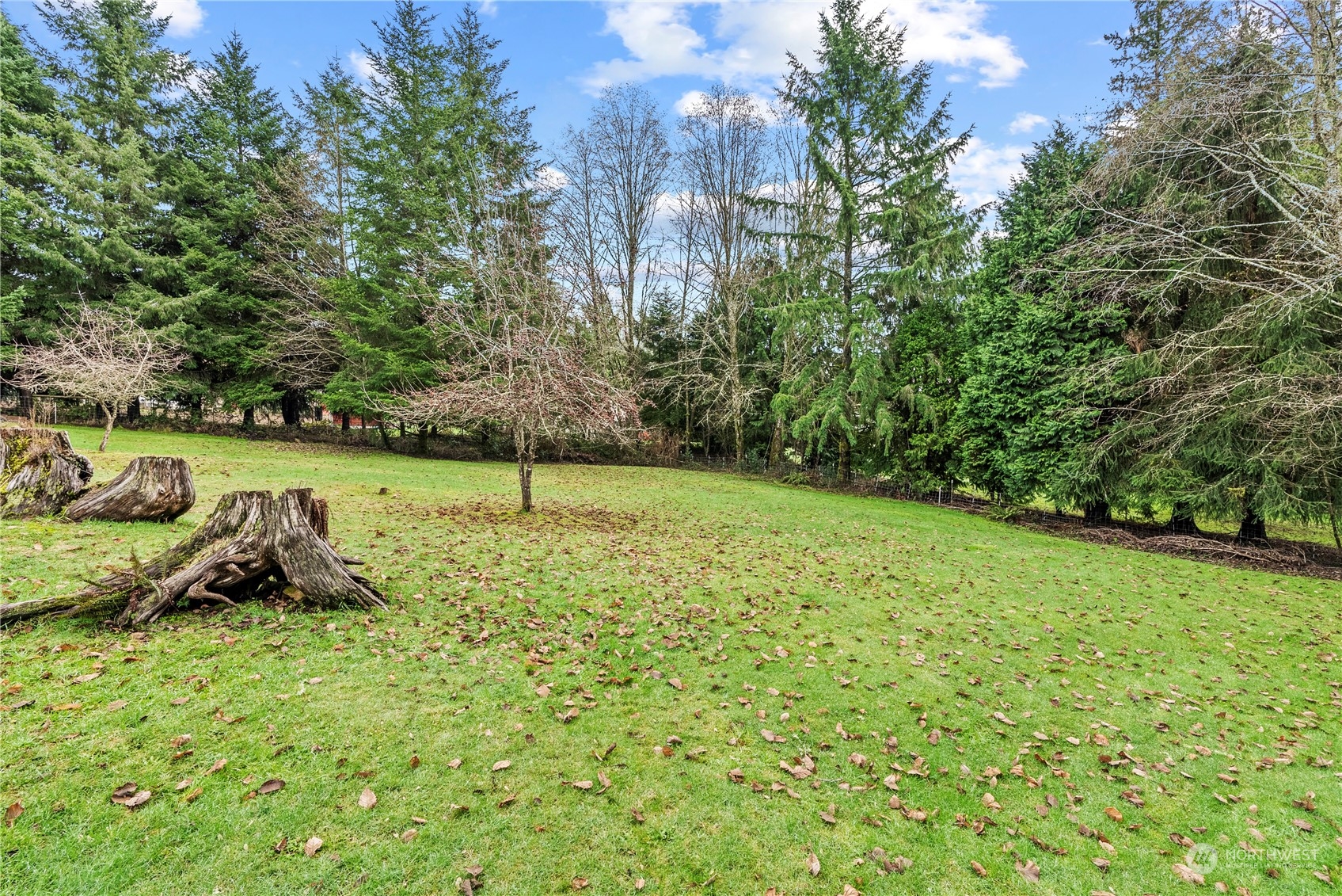 103 Diebert Road Longview, WA 98632 - Photo 3 of 18 a green field with lots of bushes