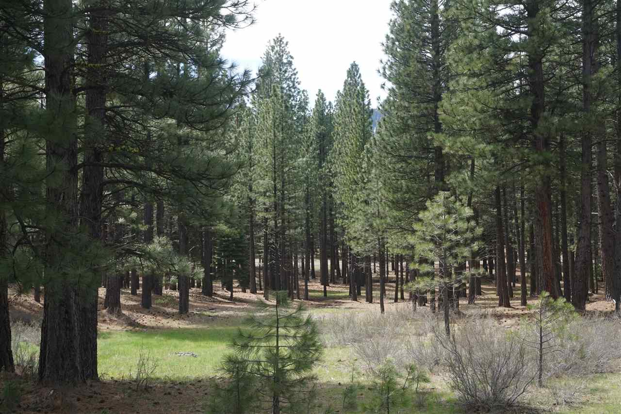 407 Main Street Calpine, CA 96124 - Photo 2 of 14 Gallery Image 2
