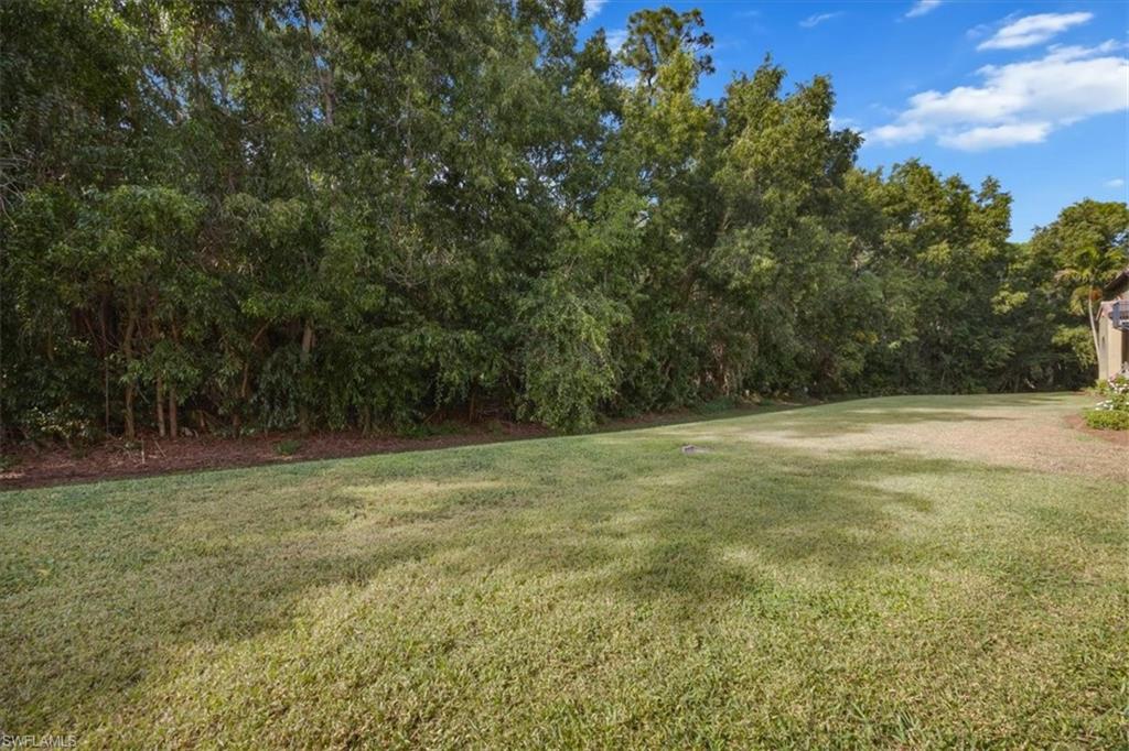 9111 Chula Vista Street, Unit 11604 Naples, FL 34113 - Photo 9 of 33 a view of outdoor space with trees all around