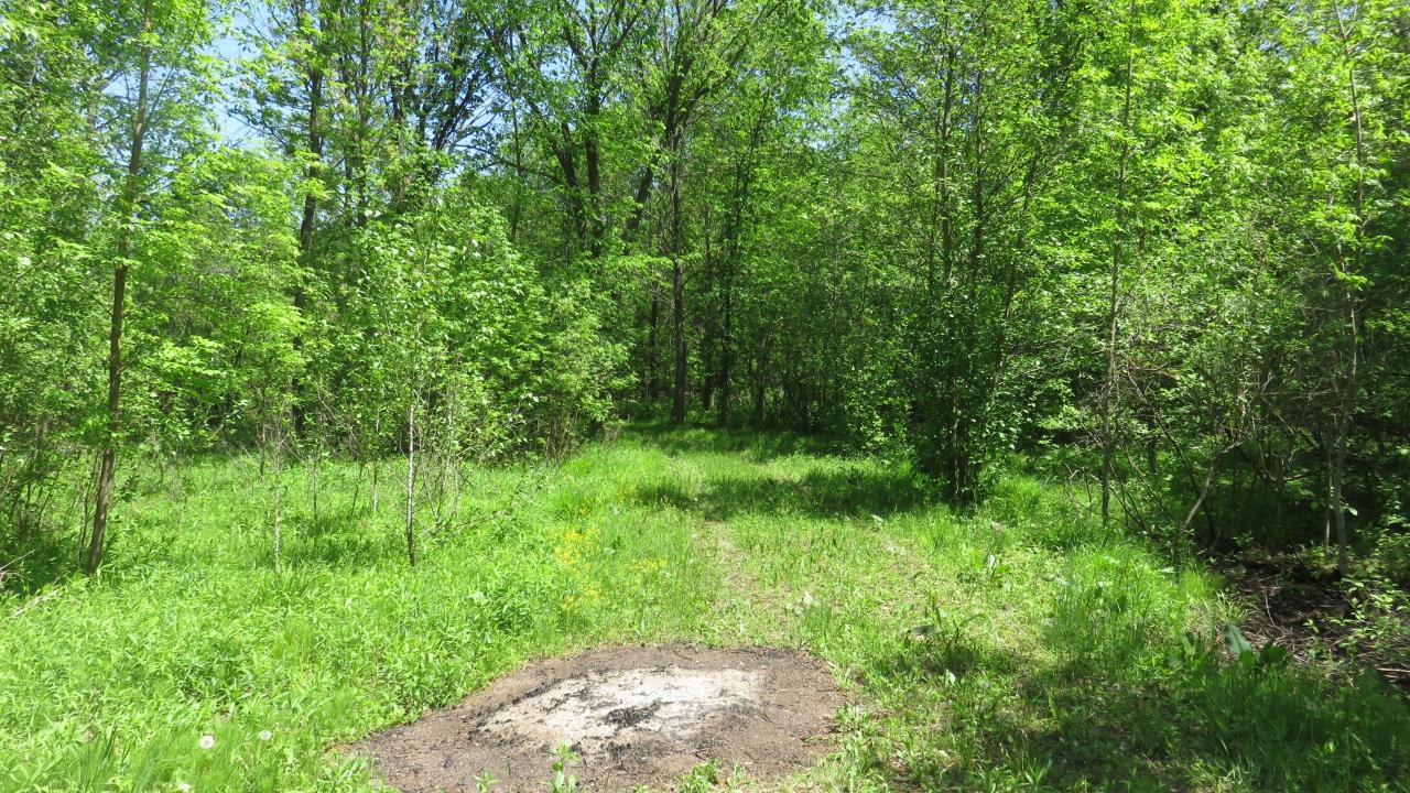 Lot On Townsite Road Presque Isle, WI 54557 - Photo 14 of 36 Gallery Image 14