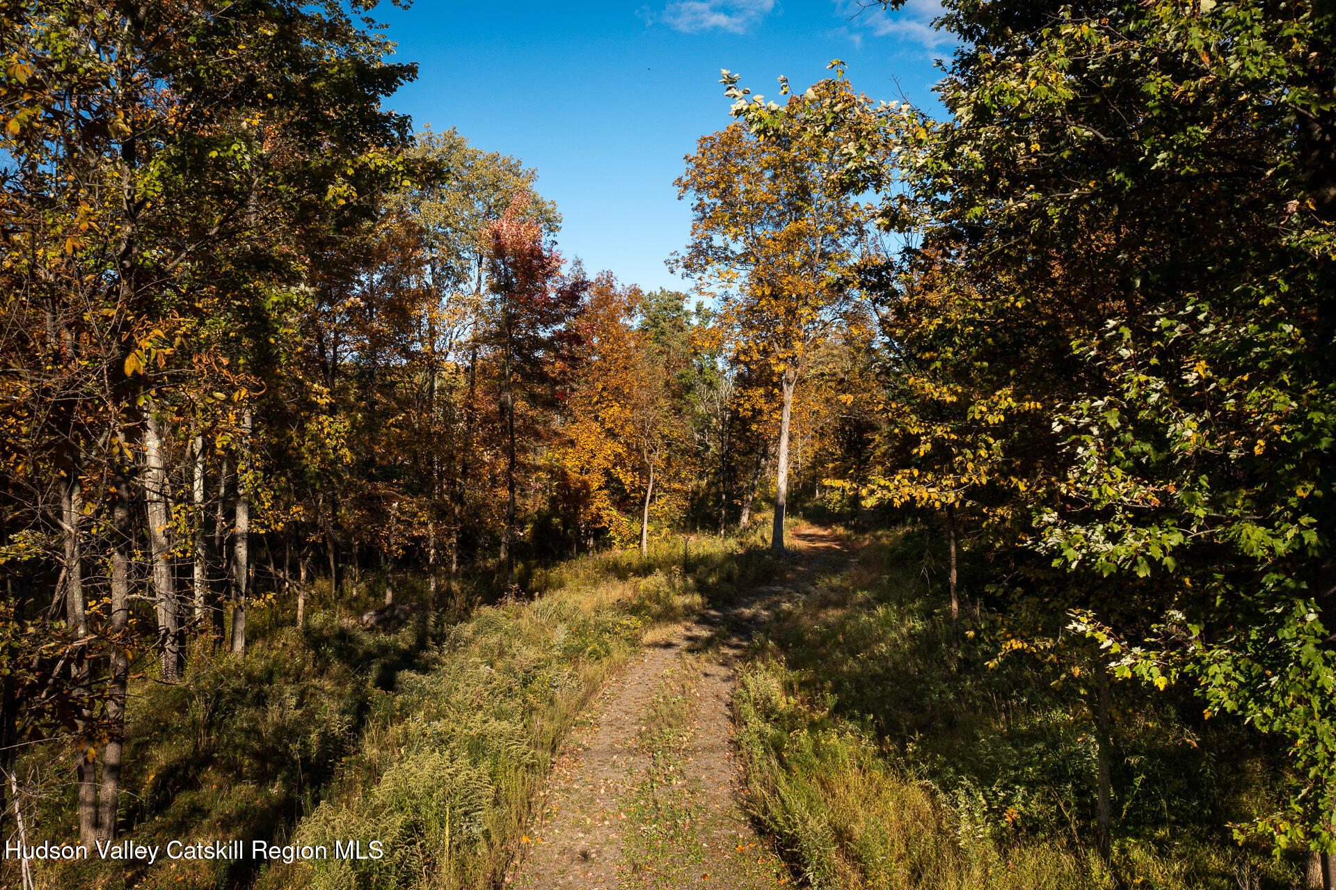 464 Mill Hook Road Accord, NY 12404 - Photo 4 of 14 a view of a tree