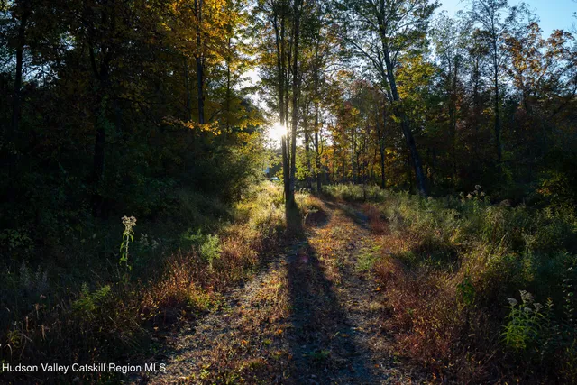 a backyard of a house with lots of green space and garden
