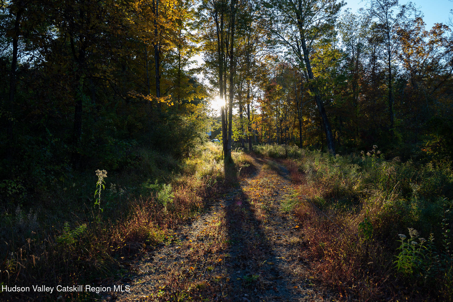 464 Mill Hook Road Accord, NY 12404 - Photo 5 of 14 a backyard of a house with lots of green space and garden