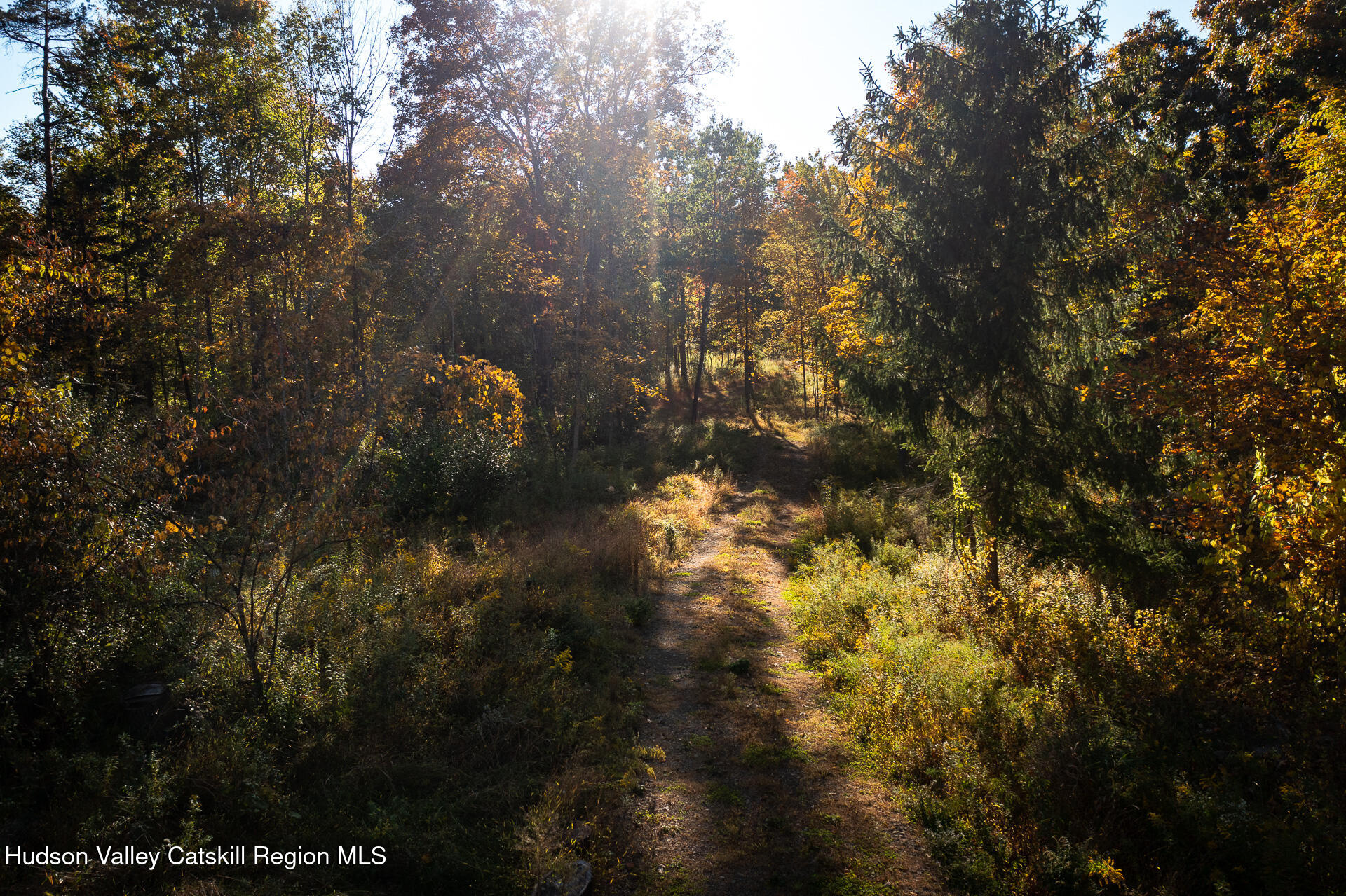 464 Mill Hook Road Accord, NY 12404 - Photo 6 of 14 a view of a tree