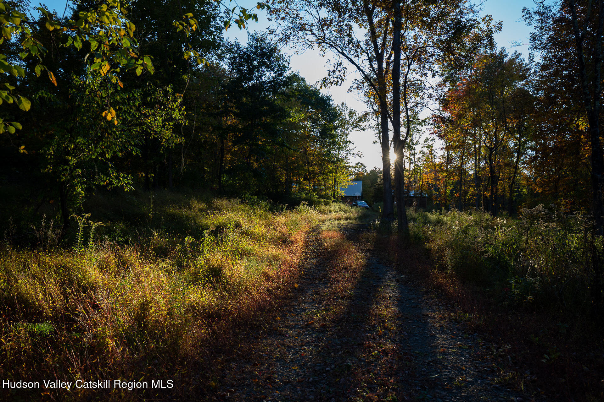 464 Mill Hook Road Accord, NY 12404 - Photo 7 of 14 a view of yard