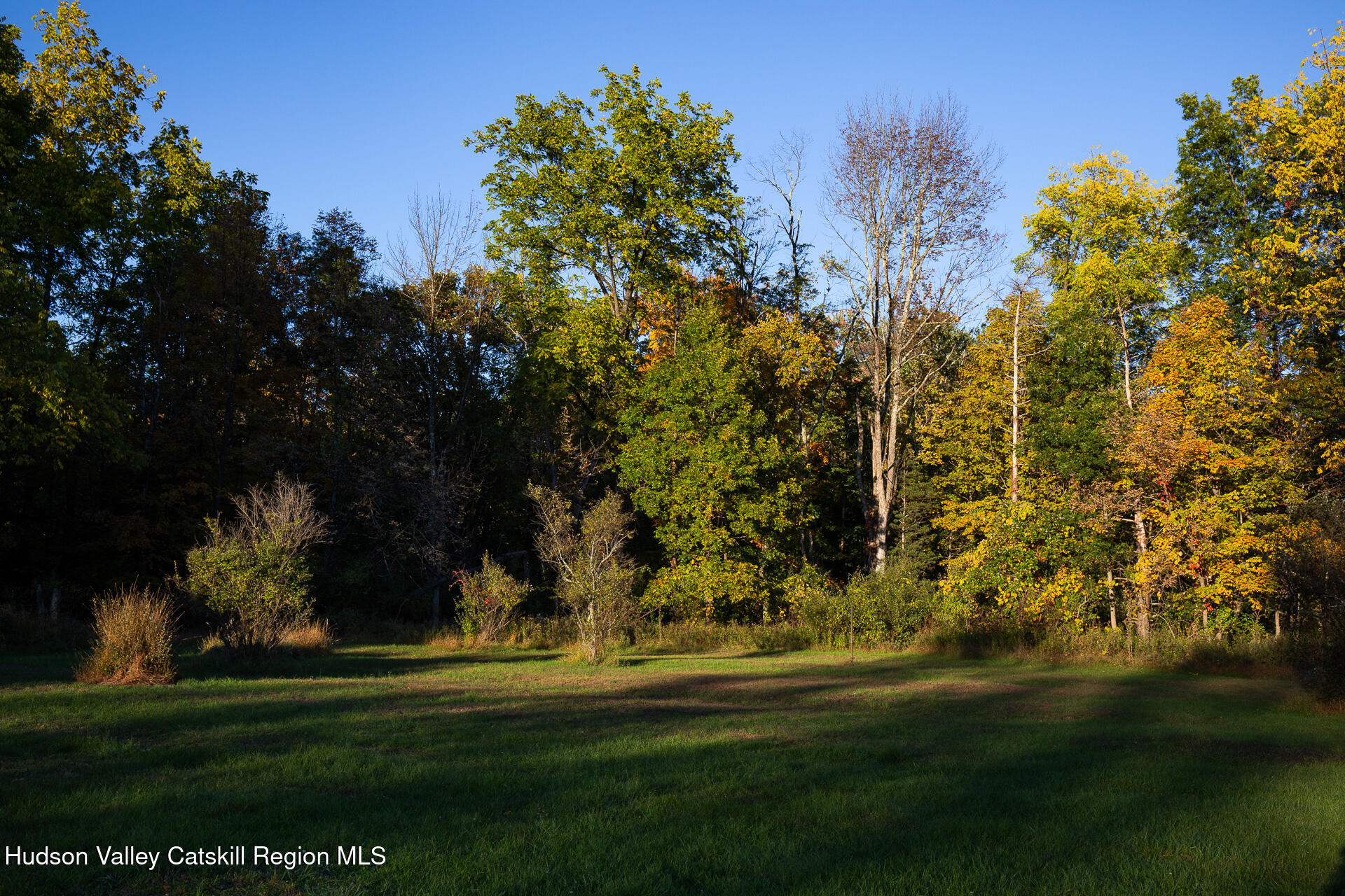 464 Mill Hook Road Accord, NY 12404 - Photo 8 of 14 a view of a park