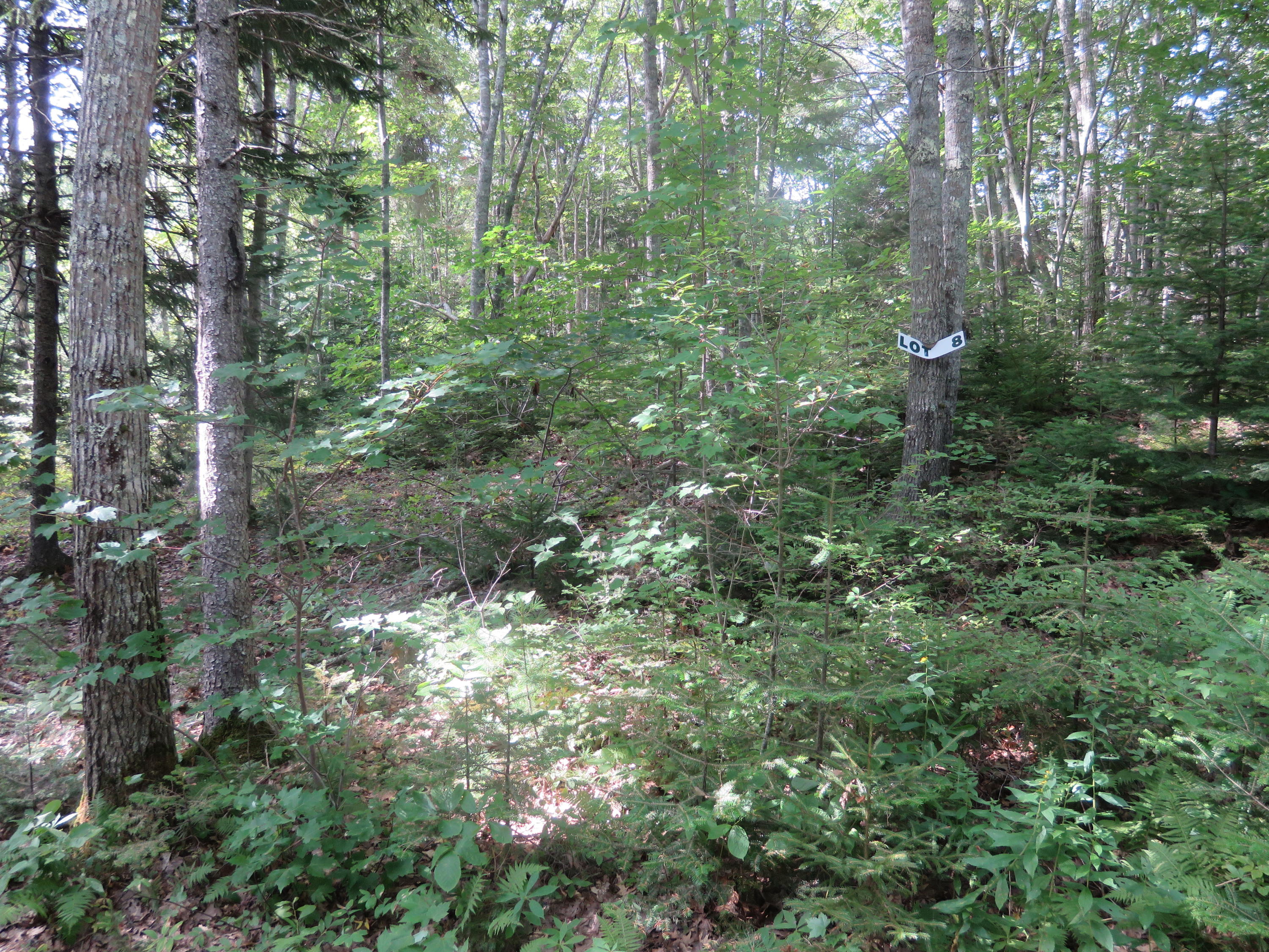 8 Spring Hill Loop Bristol, ME 04541 - Photo 2 of 2 10924CE3-4B77-410F-8B91-78FDF215BC62