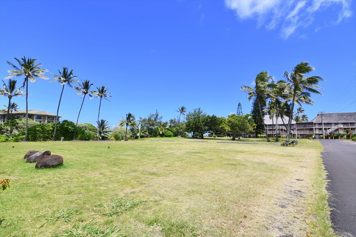 4460 Kamoa Road Kapaa, HI 96746 - Photo 11 of 12 Gallery Image 11