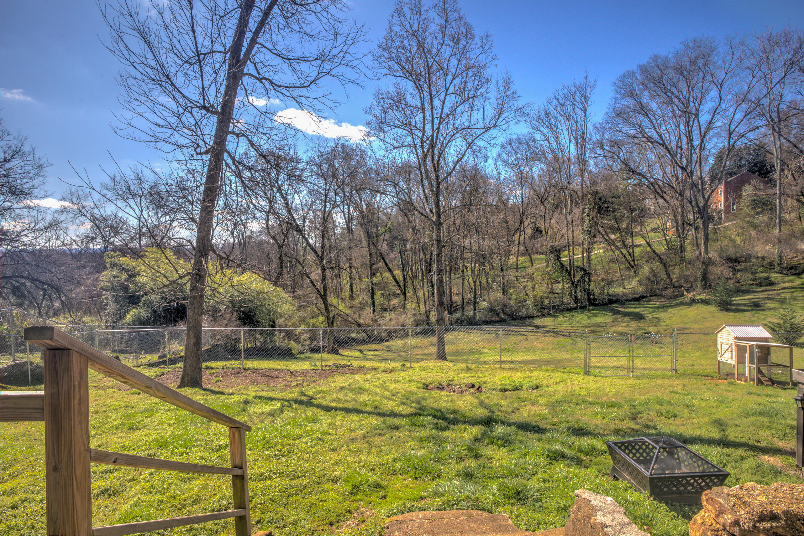 112 Shallowford Road Chattanooga, TN 37404 - Photo 26 of 28 Back Yard