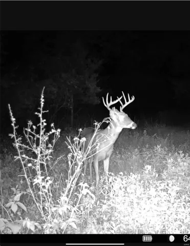 $239,900 | 0 Highway 32, Salem, MO 65560