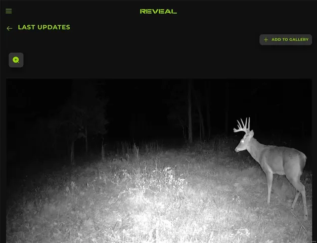 $239,900 | 0 Highway 32, Salem, MO 65560