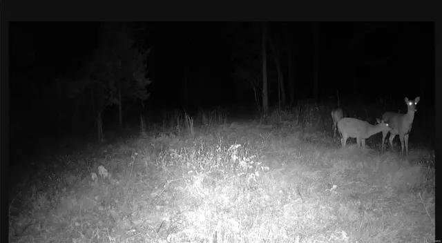 $239,900 | 0 Highway 32, Salem, MO 65560