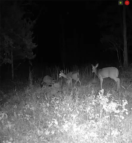 $239,900 | 0 Highway 32, Salem, MO 65560