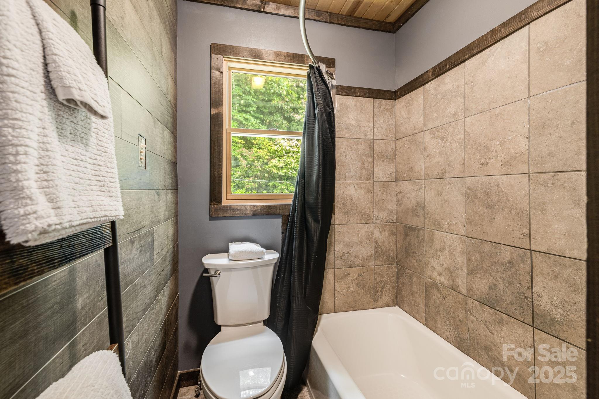 6541 Grassy Branch Road Bryson City, NC 28713 - Photo 23 of 48