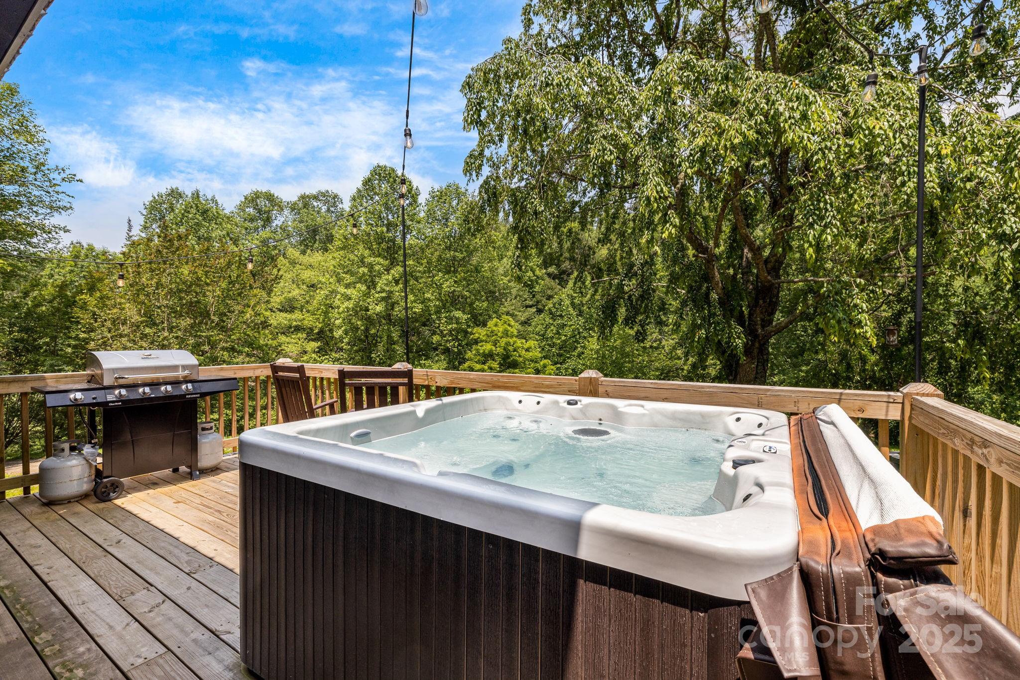 6541 Grassy Branch Road Bryson City, NC 28713 - Photo 45 of 48