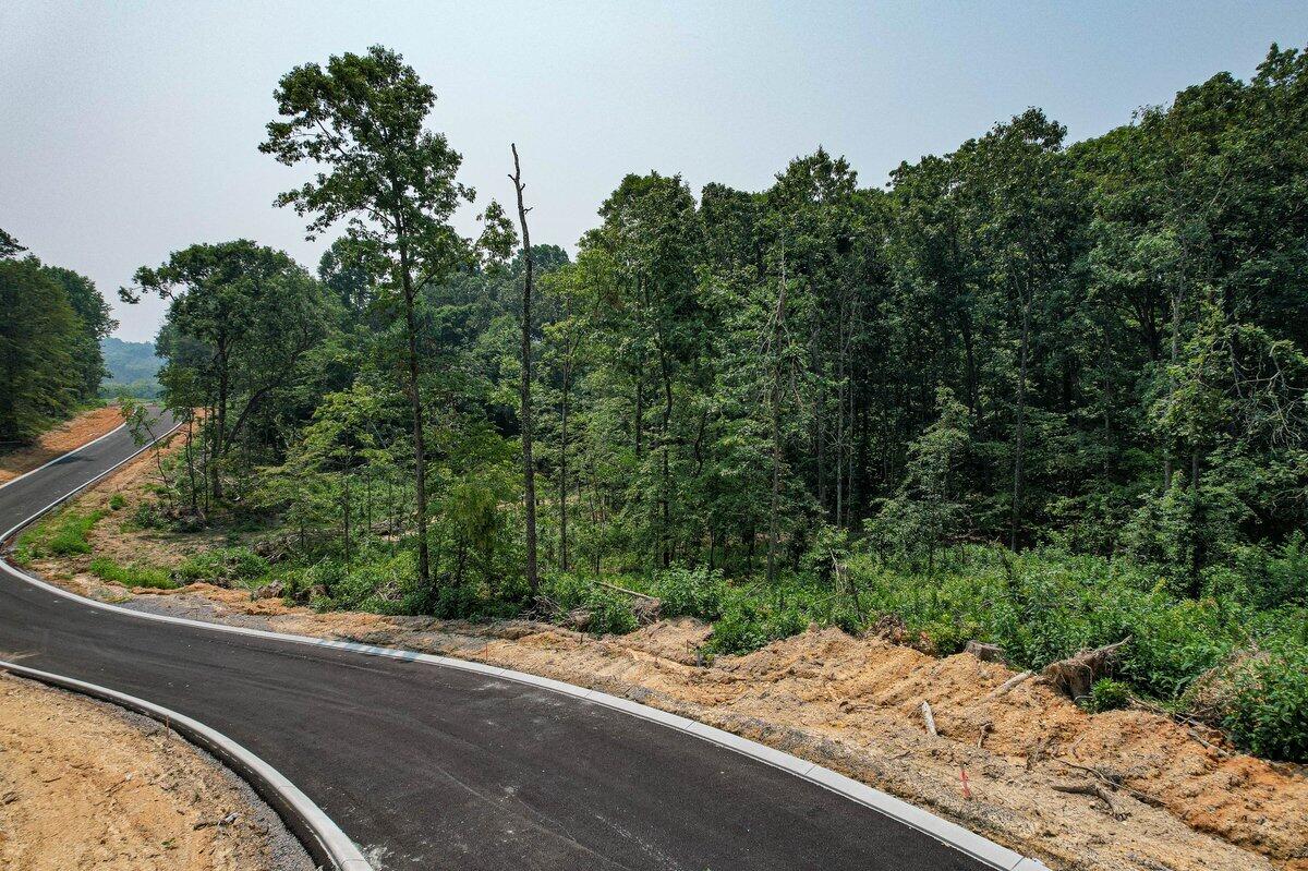 0 The Meadows, Unit 4 Riceville, TN 37370 - Photo 46 of 59 The Meadows Subdivision-Lot 14 2