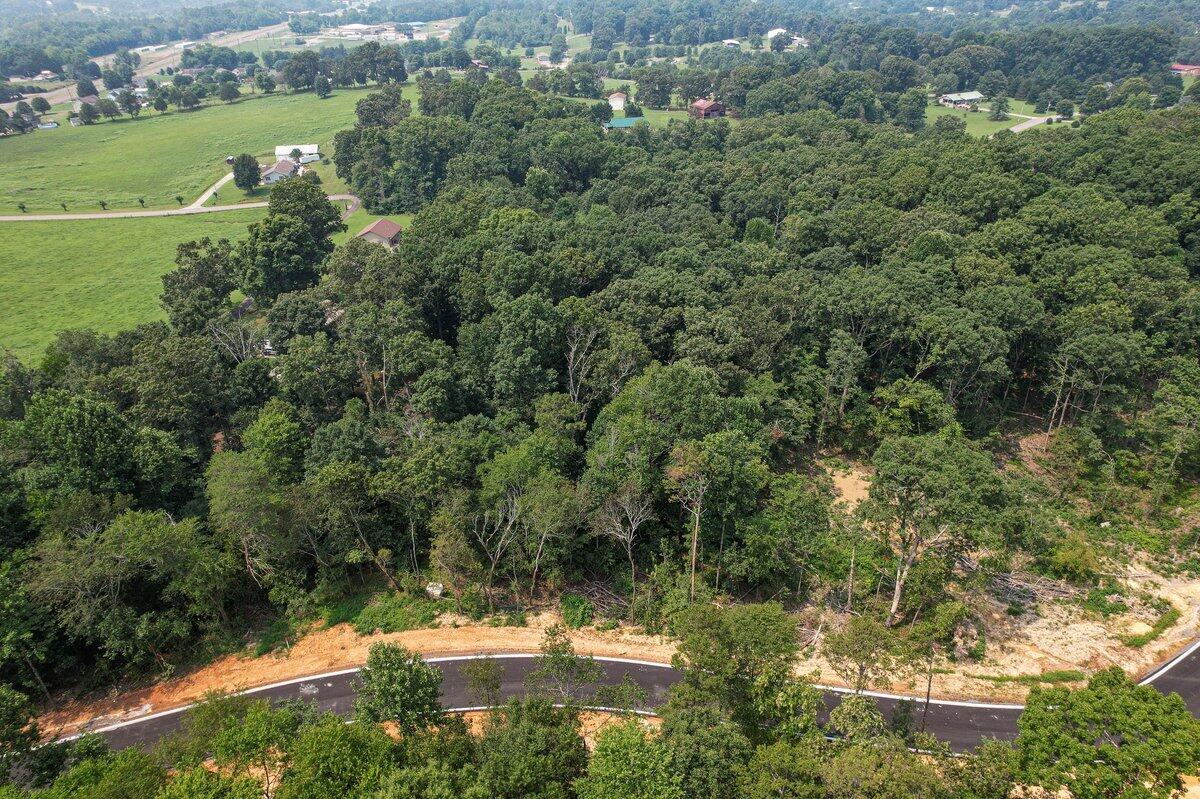 0 The Meadows, Unit 4 Riceville, TN 37370 - Photo 48 of 59 The Meadows Subdivision-Lot 15