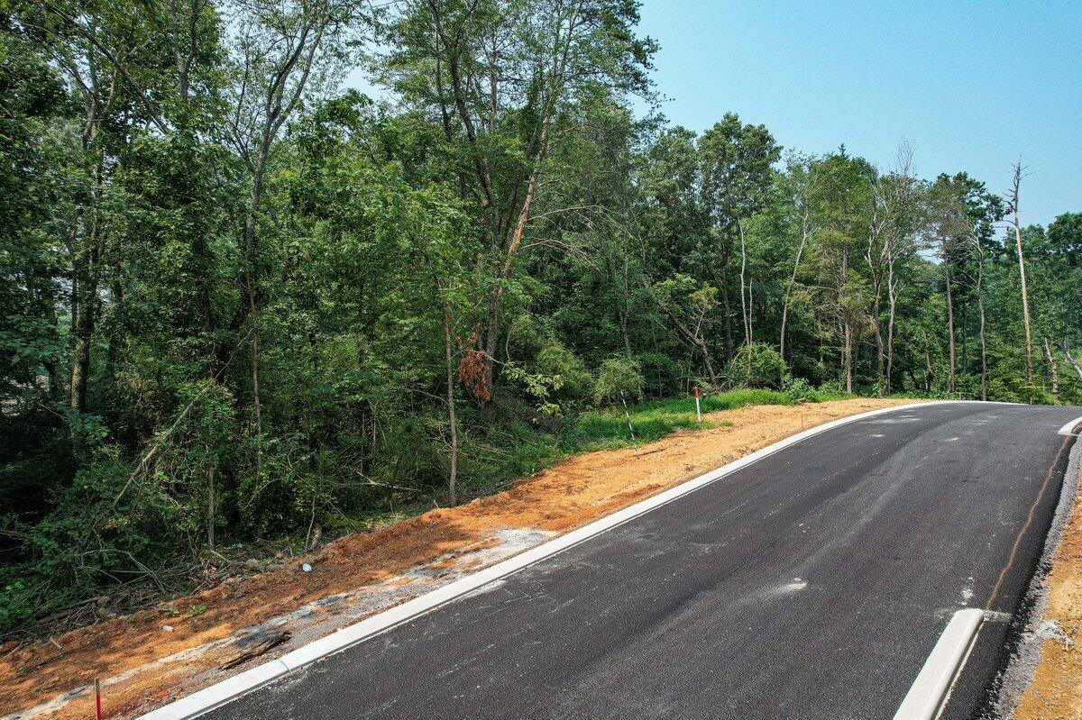 0 The Meadows, Unit 4 Riceville, TN 37370 - Photo 53 of 59 The Meadows Subdivision-Lot 16 3