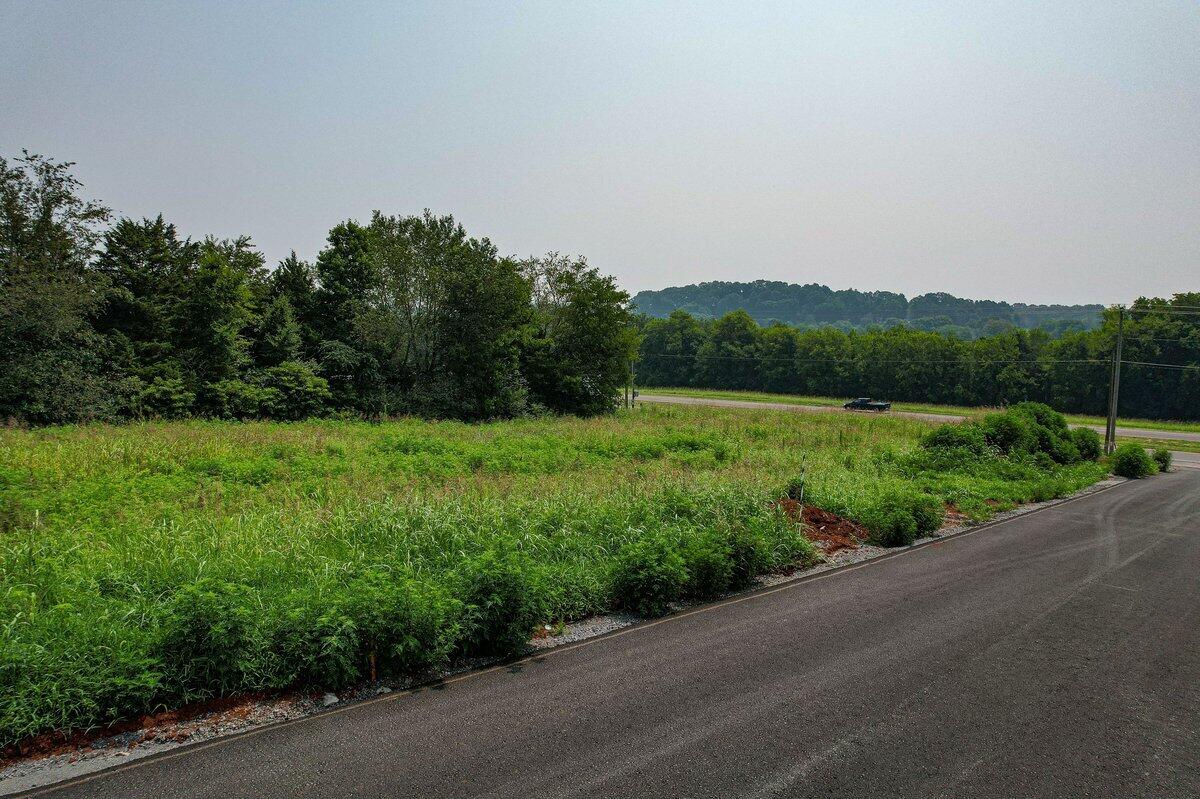 0 The Meadows, Unit 4 Riceville, TN 37370 - Photo 10 of 59 The Meadows Subdivision-Lot 1 2
