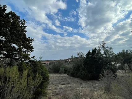 a view of a dry yard with trees in the background