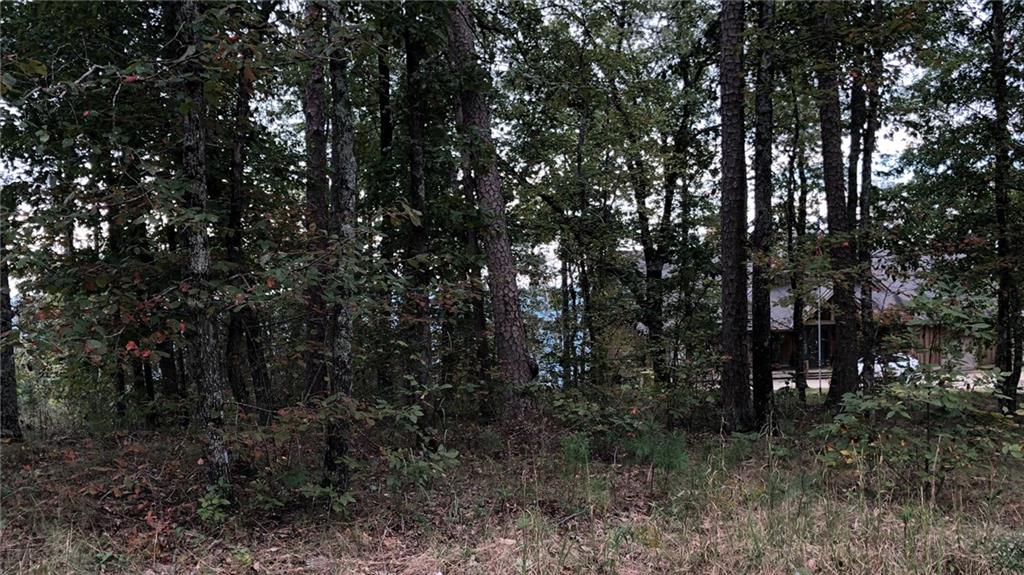 0 157 Highway Highway Rising Fawn, GA 30738 - Photo 1 of 1 Gallery Image 1