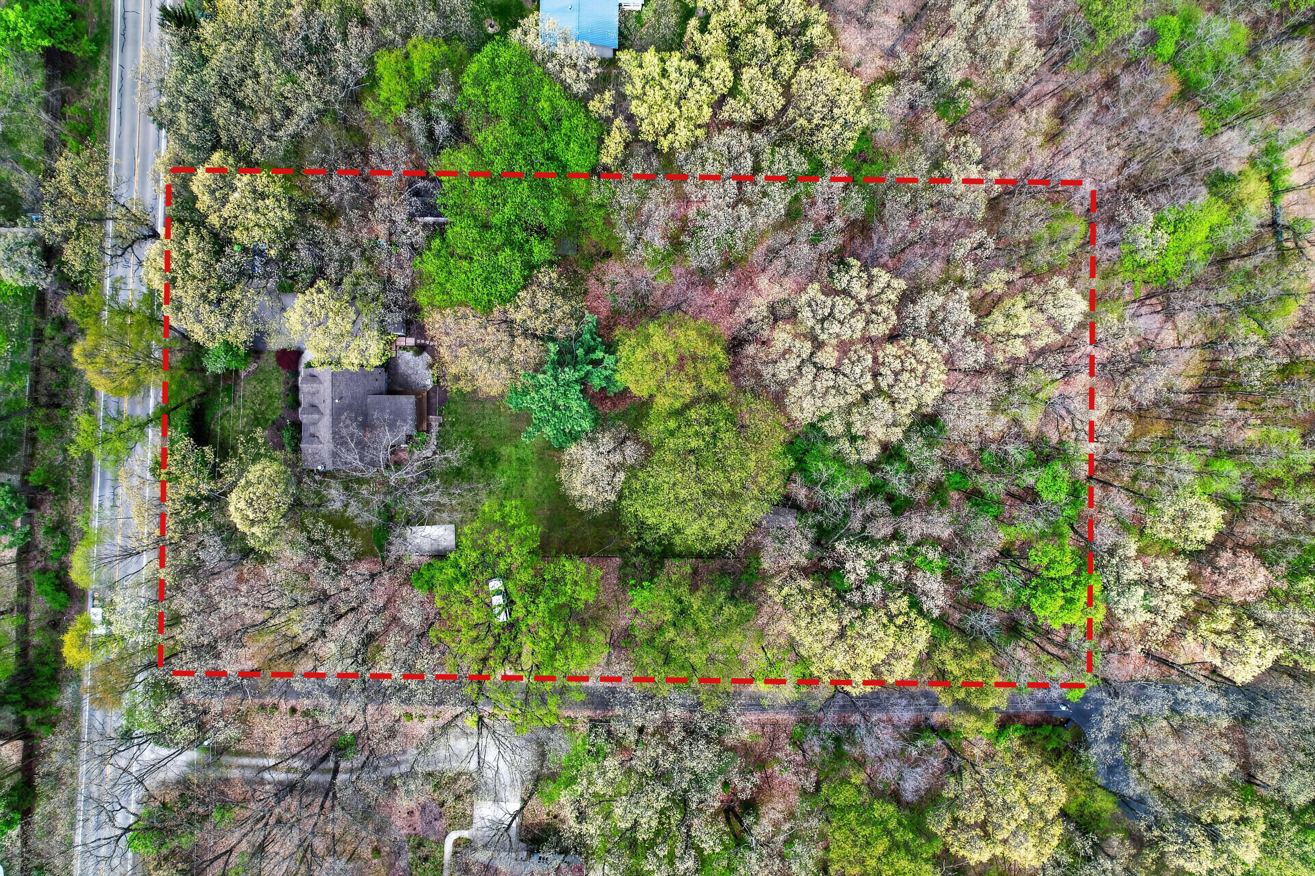 11425 Mcgregor Road Pinckney, MI 48169 - Photo 11 of 50 Overhead view