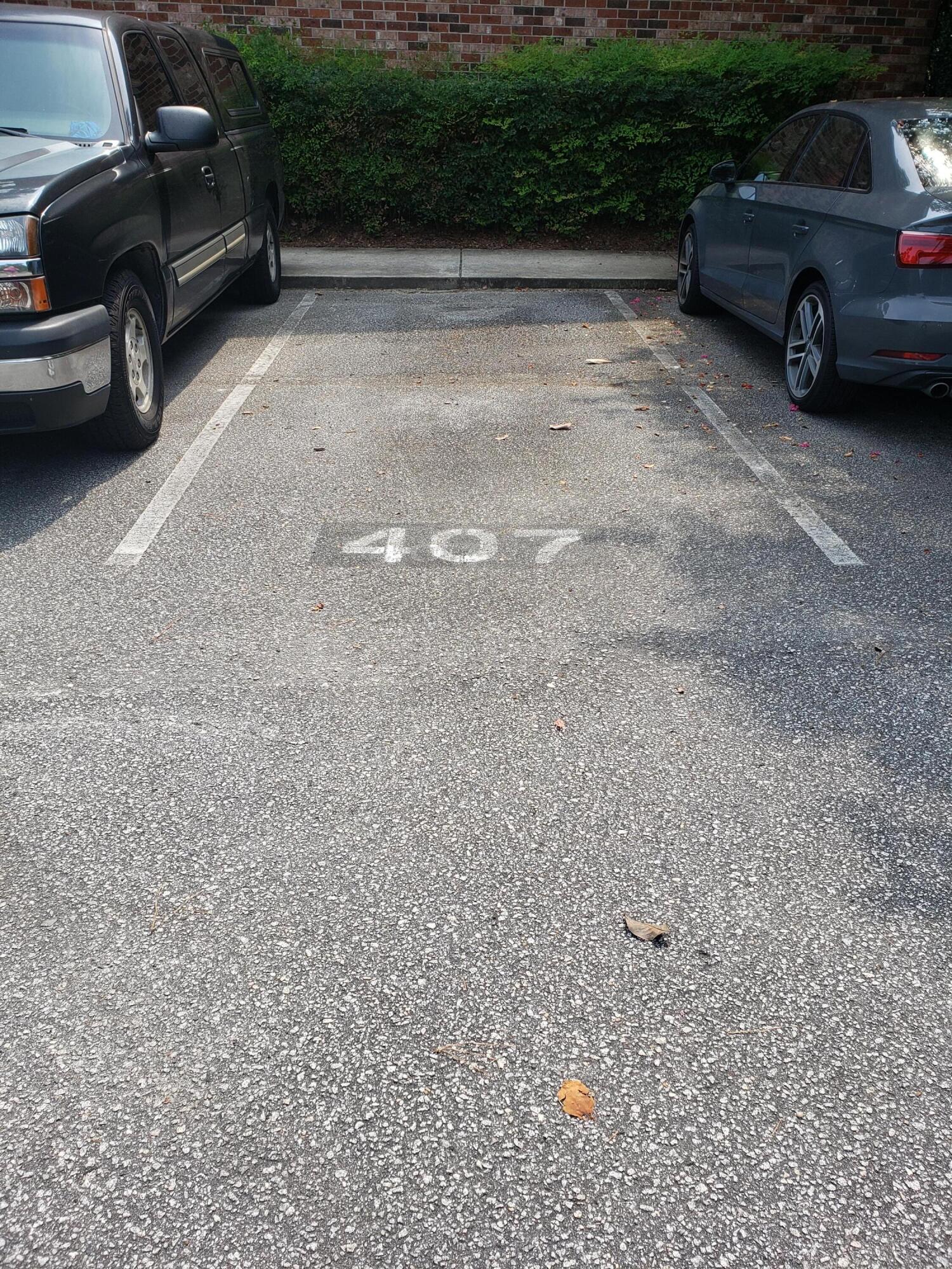 407 Andrea Lane Hanahan, SC 29410 - Photo 19 of 29 Pool 3