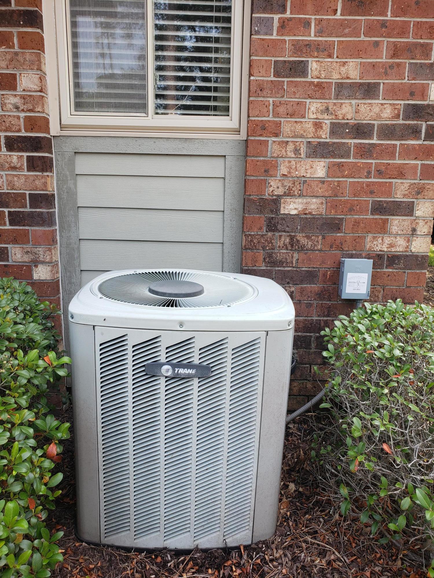 407 Andrea Lane Hanahan, SC 29410 - Photo 24 of 29 New carpet