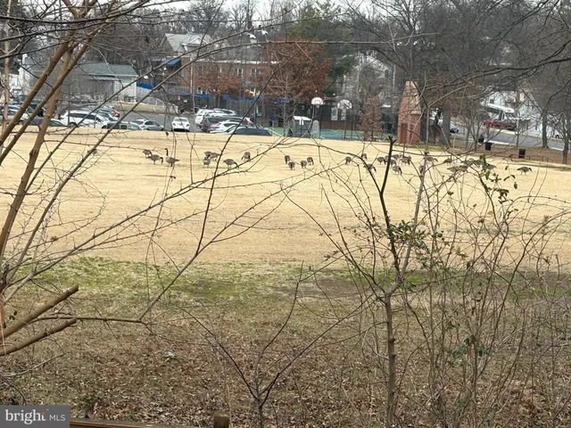 $6,890 | South Kenwood Street, Unit 2445, Arlington, VA 22206