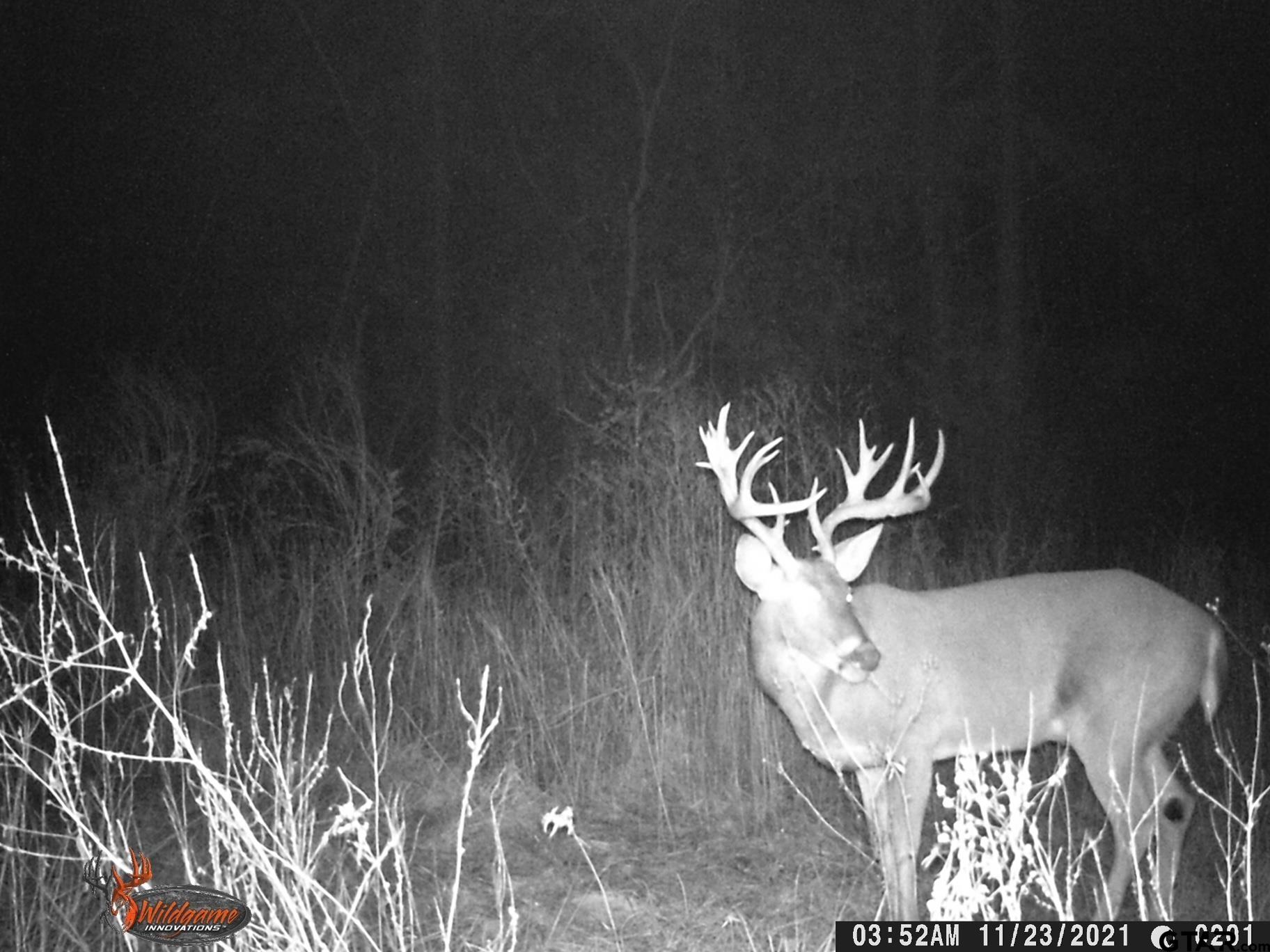 111 New London Tx 75682  