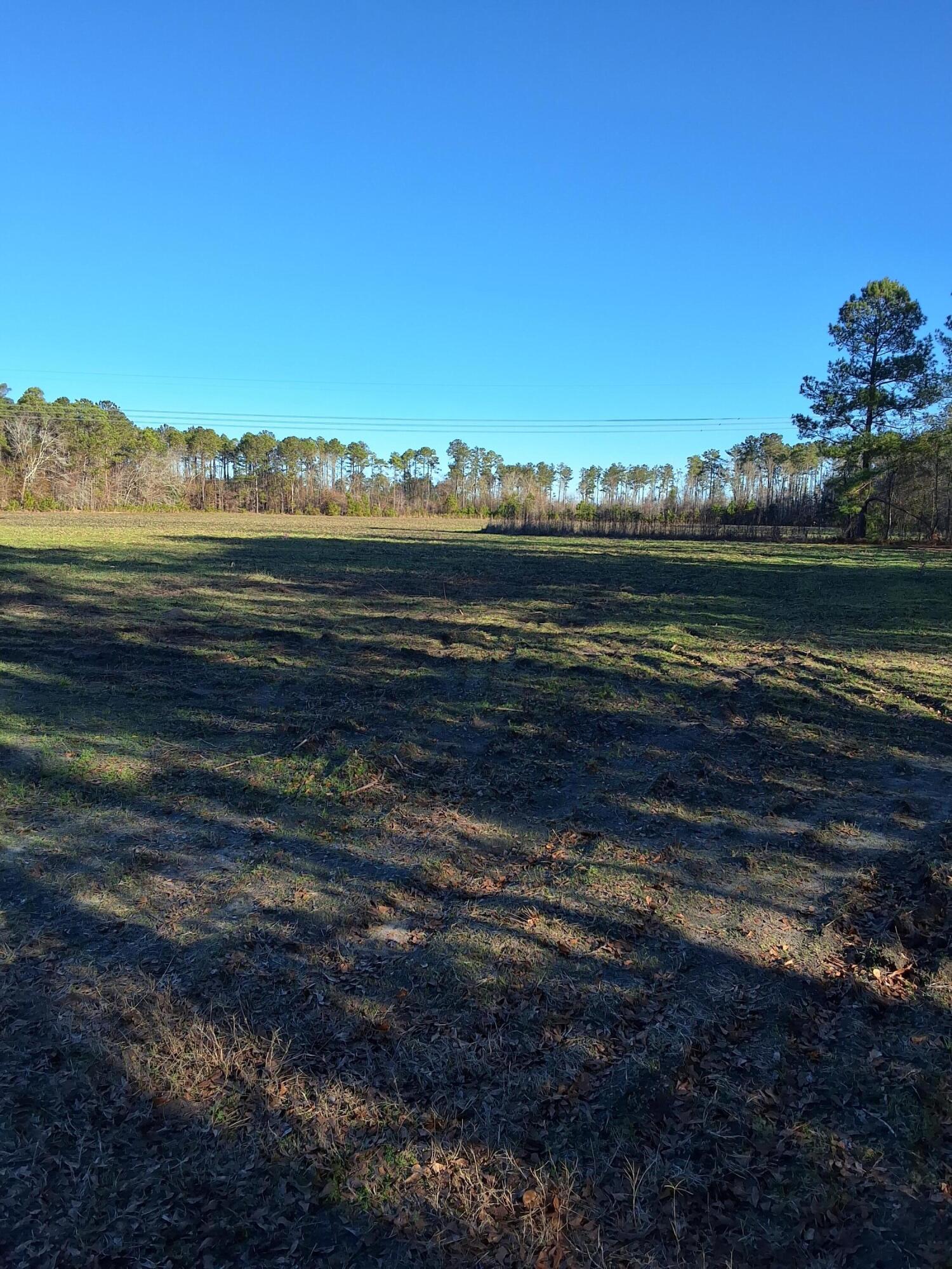 0 Berrywood Road Orangeburg, SC 29115 - Photo 8 of 12 20250101_093353