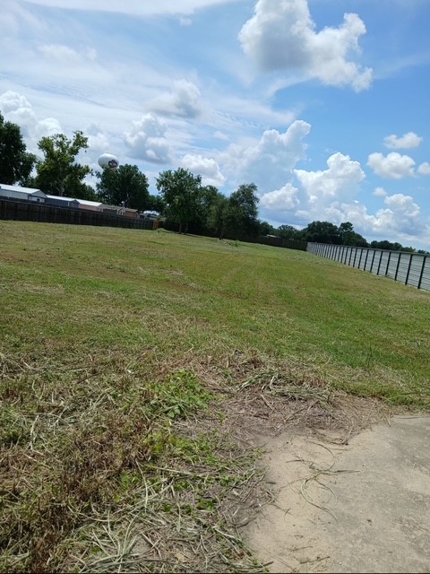 0 Verhalen Road Alvin, TX 77511 - Photo 6 of 8