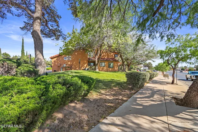 a view of a yard with plants and trees