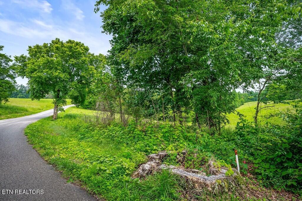 9199 Fox Hill Road Baxter, TN 38544 - Photo 16 of 16 227579_15